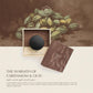 Cardamom